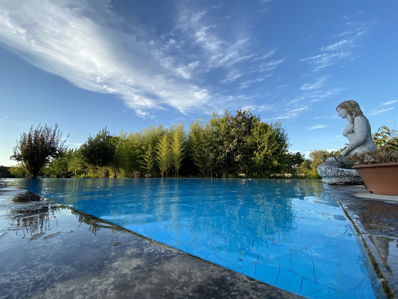 Blue saltwater pool and garden reflections